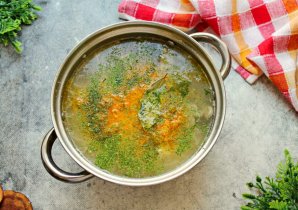 Щи с кислой капустой и мясом