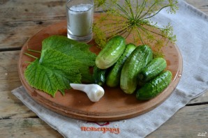 Засолка огурцов без закатки